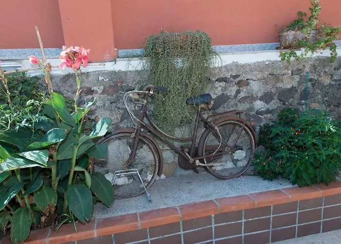 Casa A&m Apartman Onifai